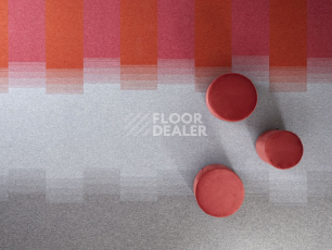 Bloq Connexion Connexion 926 фото 7 | FLOORDEALER